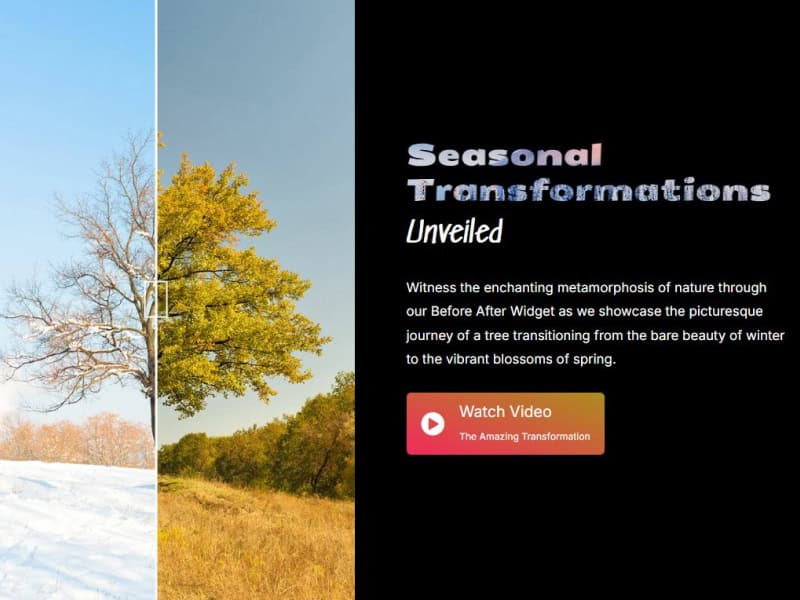 Before After Widget for Seasonal Transformations and Image Text
